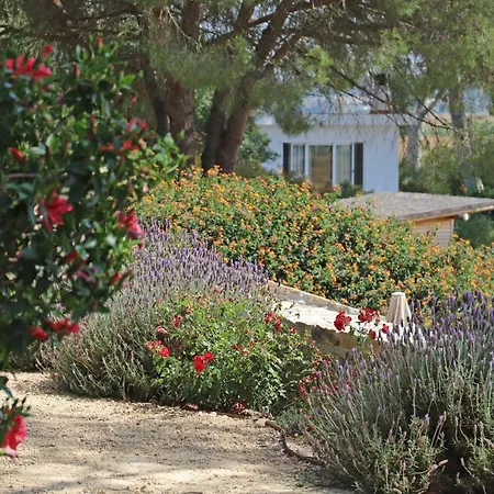 Holiday home El Refugio Reyes Vejer de la Frontera